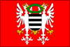 Flag of Březnice