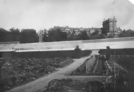 Long greenhouses in front of two large buildings