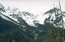 Glacially covered mountain with vegetation on its lower flanks.