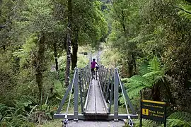 Bridge over Clarke Creek on the Croesus Track