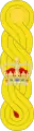 1881 to 1902 major's shoulder rank insignia