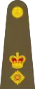 Lieutenant colonel