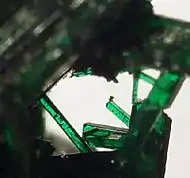 These long slender crystals, from Bisbee, Arizona,  have the highly desirable emerald green color and good luster that is sought after in Brochantite by collectors.  Detail of thumbnail specimen,  size 2.3 x 2 x .8 cm.