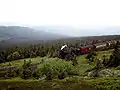 Brocken Railway below the Brocken plateau