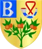 Coat of arms of Brongerga