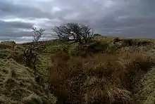 A darkly-lit image of a grassy hill rising above a depression. Long grass is growing in the foreground, and two leafless, gnarled trees are growing in the background. Sunlight is breaking through gaps between storm clouds in the sky.