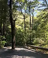 Beech grove outdoor classroom