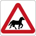 Horses or ponies ahead