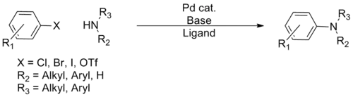 The Buchwald–Hartwig reaction