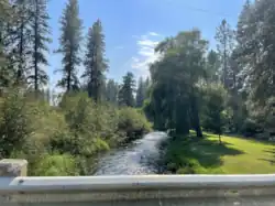 Little Spokane River at Buckeye from Little Spokane Drive looking downstream