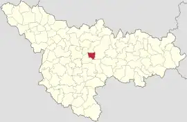 Location in Timiș County