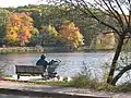 The pond in fall