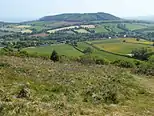 Bulverton Plantation as seen from Fire Beacon Hill.