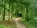 Bunker and antitank ditch in De Inslag