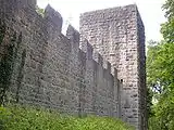 The gate tower and curtain wall