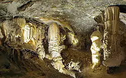 Postojna Cave