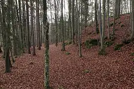 Counterview looking south. Right: the climb to the castle site (November 2013)