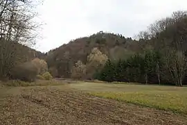 View of the Altschlossberg from the Brunnengraben valley to the west (November 2013)