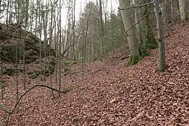 Image 6: Profile of the ditch. L: the castle site (Dec 2014)