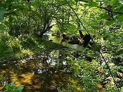 Image of Burrows Run in Delaware