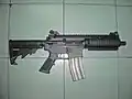 Bushmaster Carbon-15 SBR (shorter barrel)