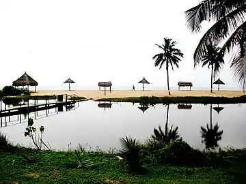 Seashores and lagoons of the Western region