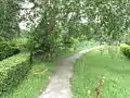 Path leading into the butterfly garden area