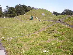 Gardener reveals scale of the roof landscape