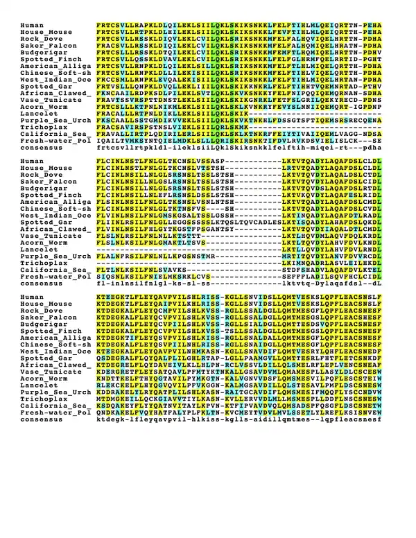 CCDC138 multiple sequence alignment showing conserved regions.