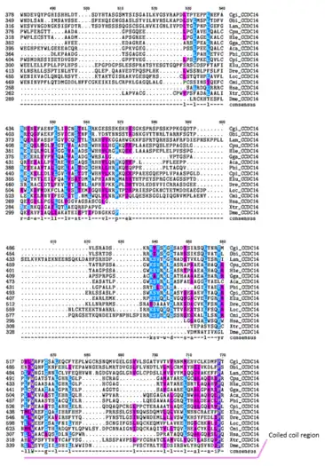 Purple=Similar Amino Acid ChemistryBlue=Same Amino Acid