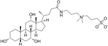 Structural formula of CHAPS detergent