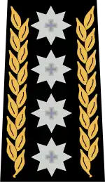 Four-"Star" rank insignia of the top Swiss general.