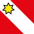 Flag of Thun