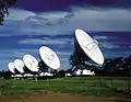 Five of the antennas (2000)