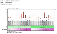 CXorf66 Protein Presence in Endometriosis Total RNA