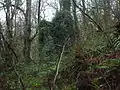 The Craig Mill ruins from below Linn Spout. This mill was associated with Kilwinning Abbey, together with Garnock and Sevenacres mills.