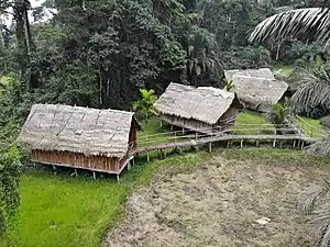 Huts in Oveng Forest