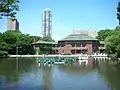 Before 2010 restoration of South Pond into a nature reserve, paddle boats could be rented