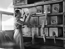 Woman in Army uniform attends to a wall covered in shelves on which there are wooden glove boxes with fine netting.