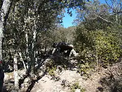 The dolmen from the south