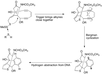 Mechanism of action for calicheamicin