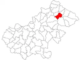 Location in Satu Mare County