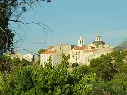 Co-cathedral of Calvi