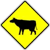 Domestic animals crossing