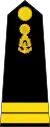 Lieutenant Junior Grade