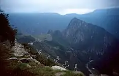 First view of Machu Picchu before sunrise from Inti Punku