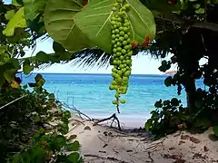 Campsite at Flamenco Beach