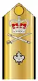 Shoulder boards for:short-sleeve shirt,tropical white tunic,summer white mess dress,2C shipboard mess dress