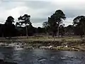 The Canadian Campsite after it was fenced off (1980s).