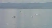 Fishing folks on outrigger canoes on Cancabato Bay, with the San Juanico Strait and Samar island in the background.